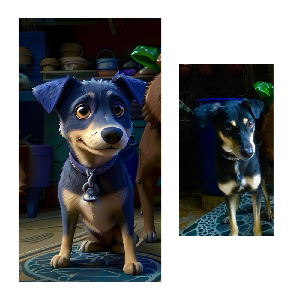 Custom Digital Cartoon